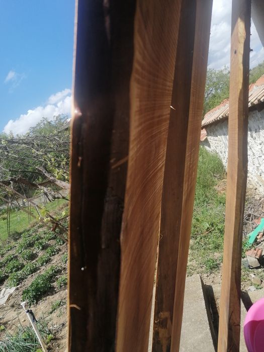 Орехови янове от 240 см