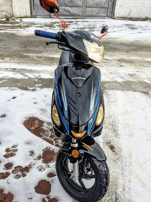 Scuter  bellini 49cm