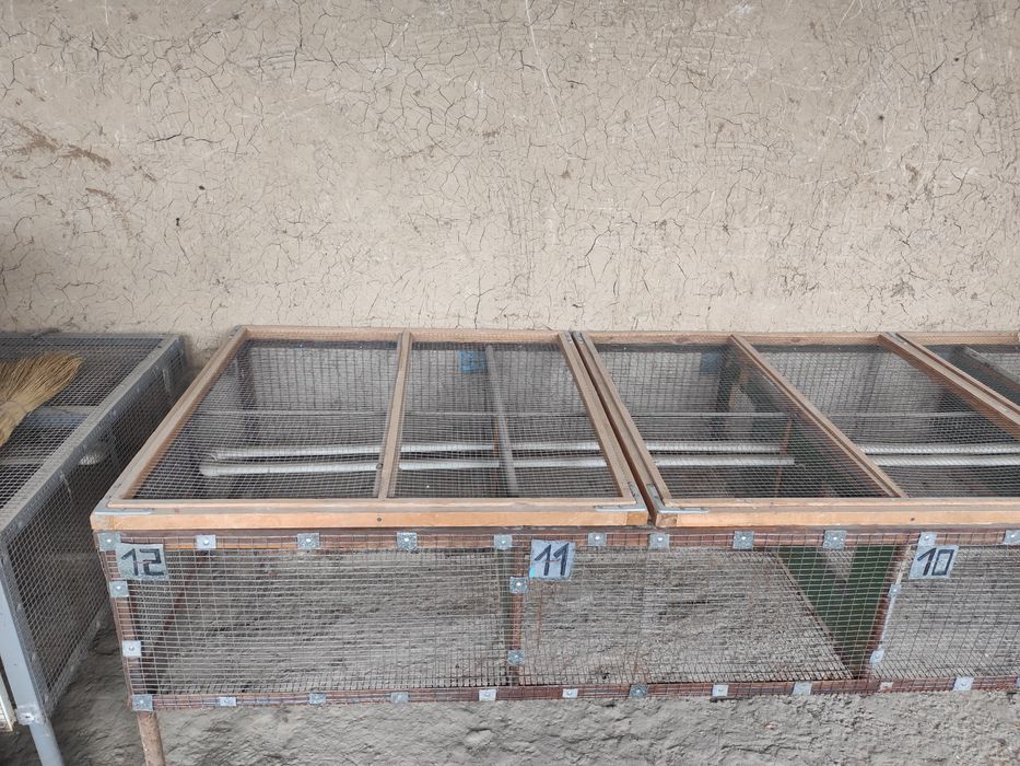 Клетка для Кролика и цыплят.