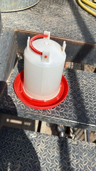 Кормушки и пойлки для птиц!