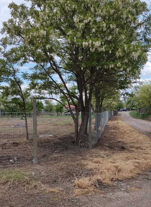 Teren în Sabangia 1600mp-central