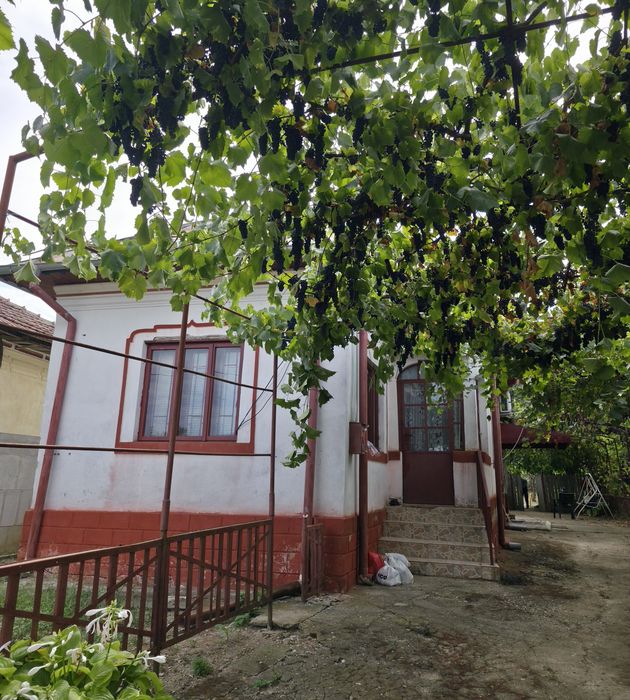 Vand casa in comuna Scaiesti ,Dolj