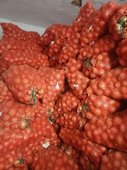 Лук репчатый сухой 30 тонн
