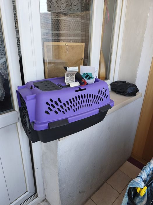 Бокс, авиа, переноска.