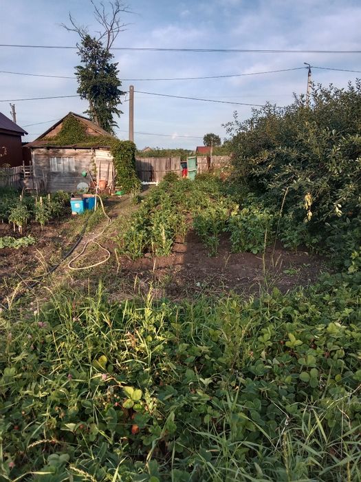 Продам дачу общество Лада