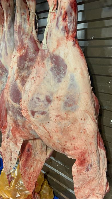 Жас тана етти тушалай