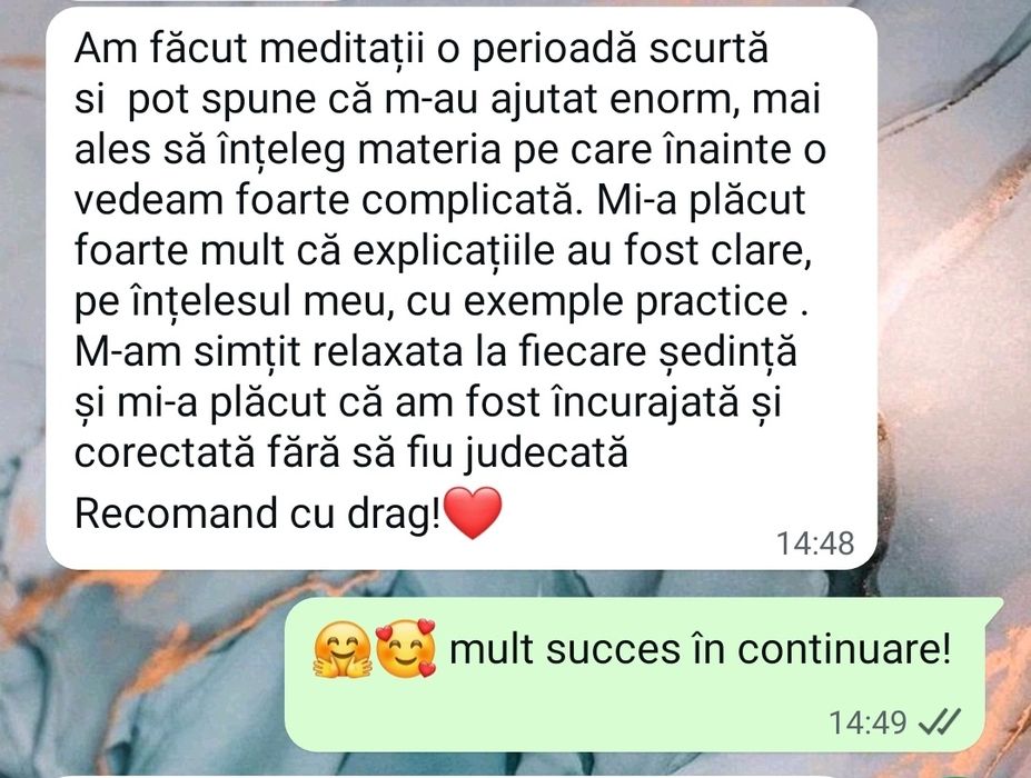 Meditatii BAC de 10 Lb. Romana