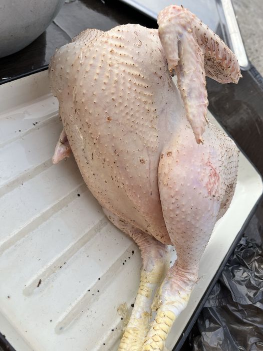 Продам мясо бройлера