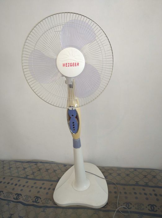 Вентилятор с пультом.