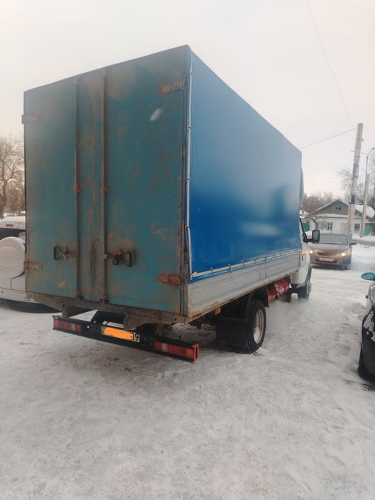 Бычки и телочки лошади