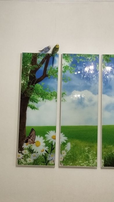 Попугай, парочка.