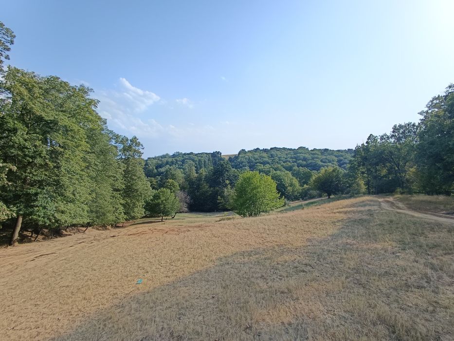 Teren  cu schiță topografica