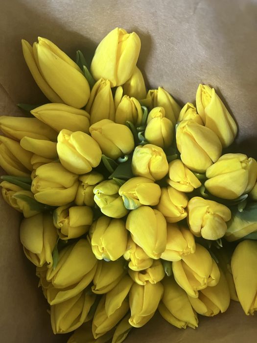 Тюльпаны 700 доставка десплатно