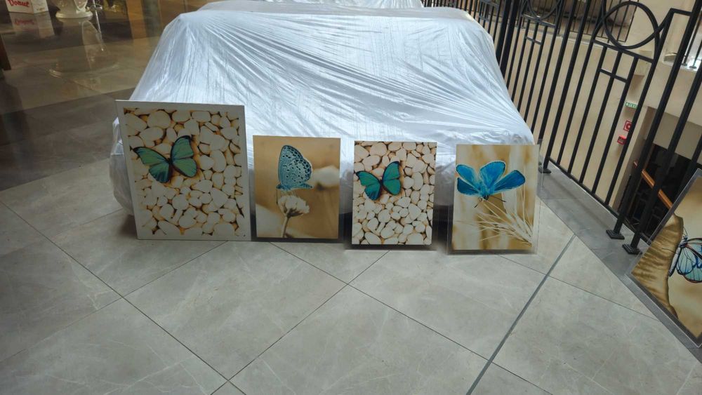 Разпродажба! Картини пеперуди