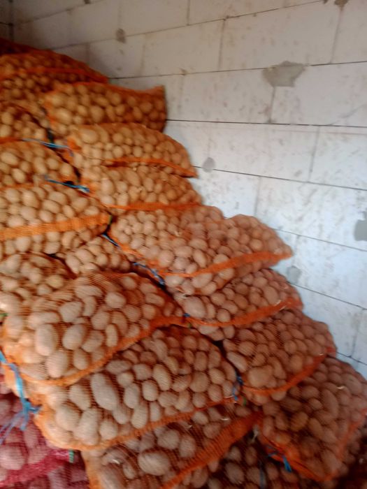 Cartof  rosu  si alb de vinzare