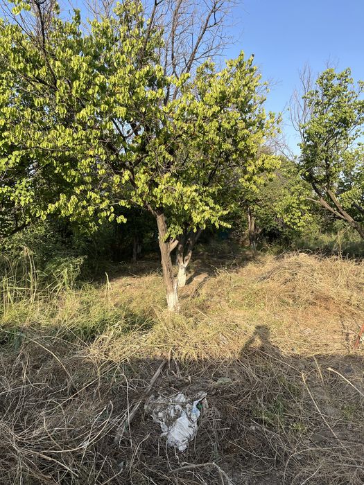 Продается дача вне города