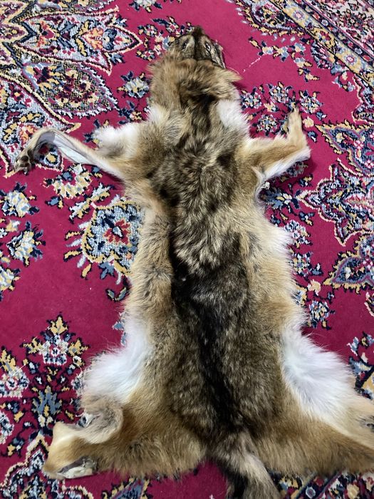 Кожата е от лисица