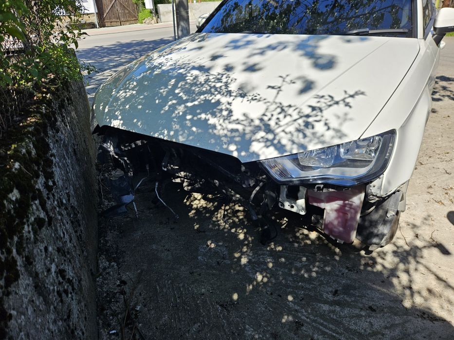 Audi A3 8v 2.0tdi 150hp На части