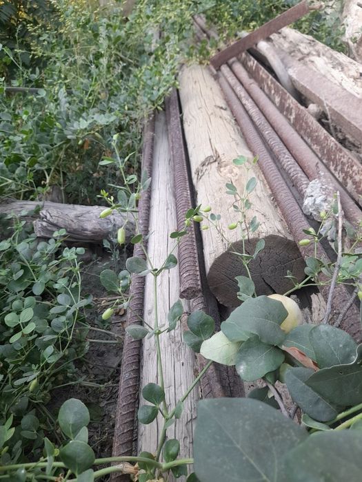 Норвонча, болор ,арматура, 11 метрлик турба 500 лик сотмоади