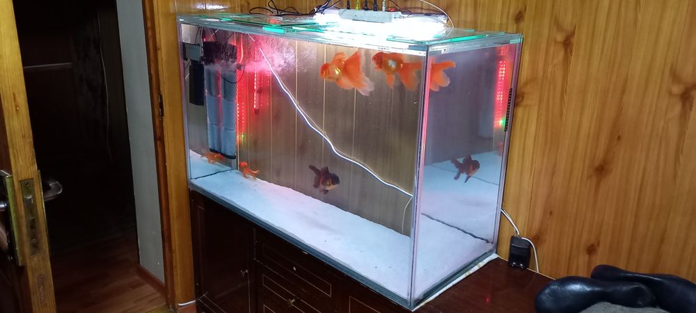 Аквариум на заказ. Заказга Аквариум ясиман телефон килила нархини кели