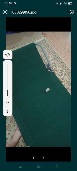 Раскладушка зелёная