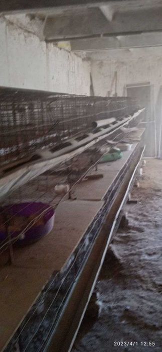 Товук бокиш учун сеткалар