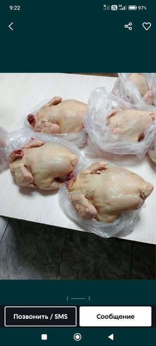 Продам домашнее мясо бройлера