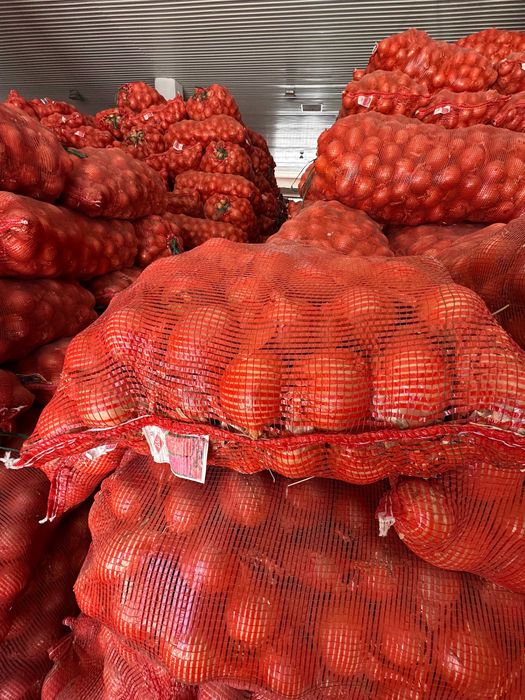 Репчатый лук сорта "Манас"