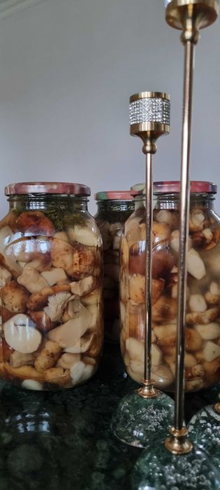 Продам грибы валуи