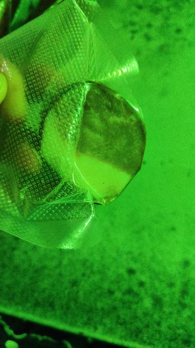 Продам Копчёное казы