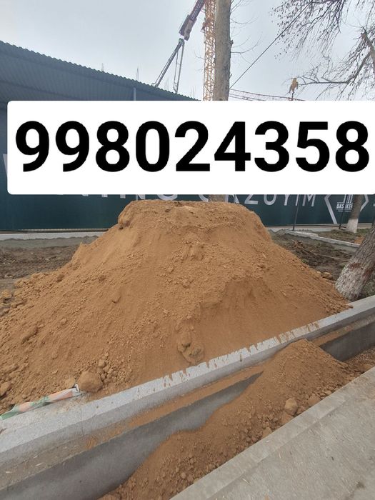 Gazonga Tozza Sariq Turpoq Tuproq Turpo sof turpoq