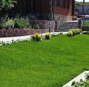 Спортивный газон в петропавловске