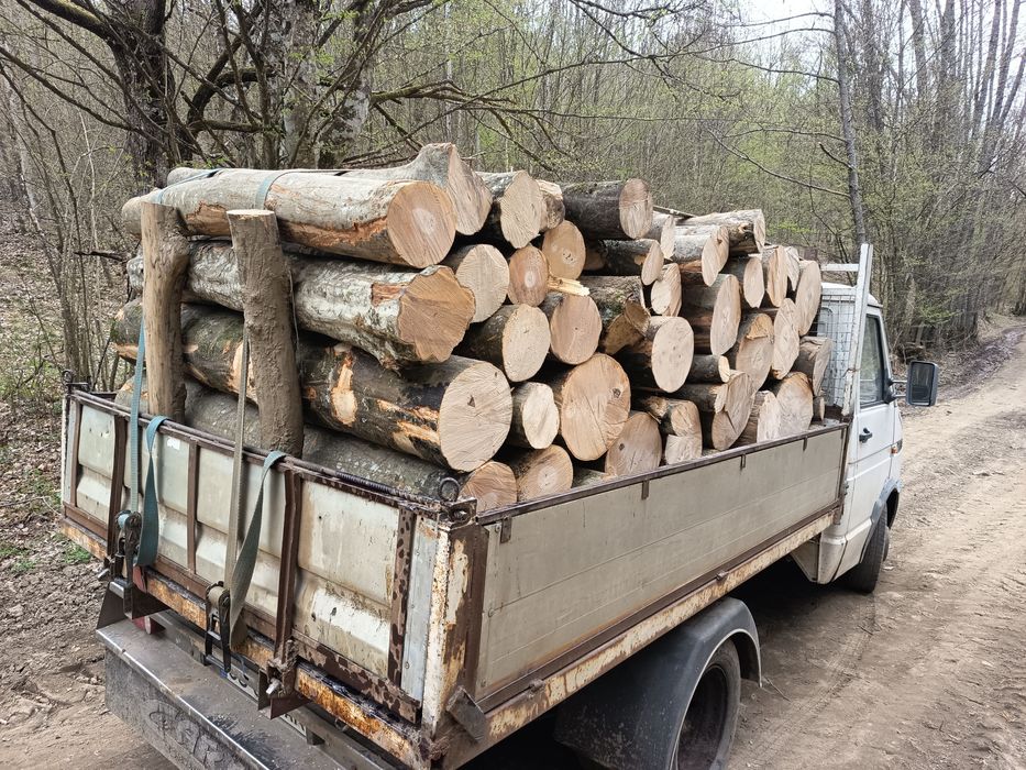 Lemne de foc , esență tare! Fag, Carpen, Stejar, Salcâm