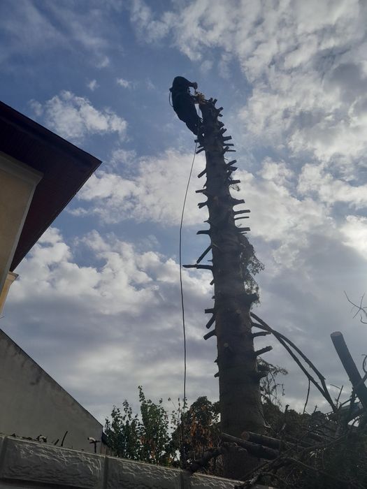 Debarasare apartamente garsoniere Transport oriunde in buc si Ilfov