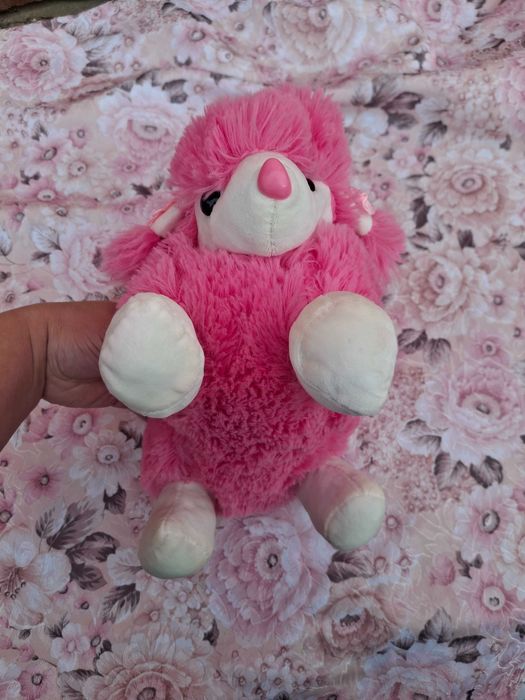 Ghiozdanel tip poșeta pentru fetițe