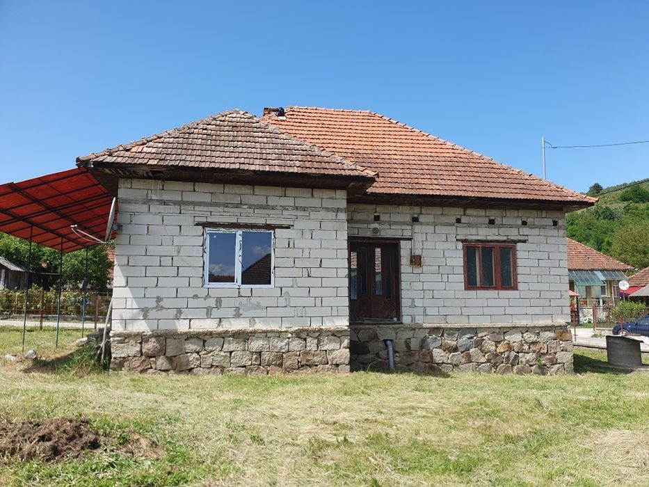 Vând casă cu grădină