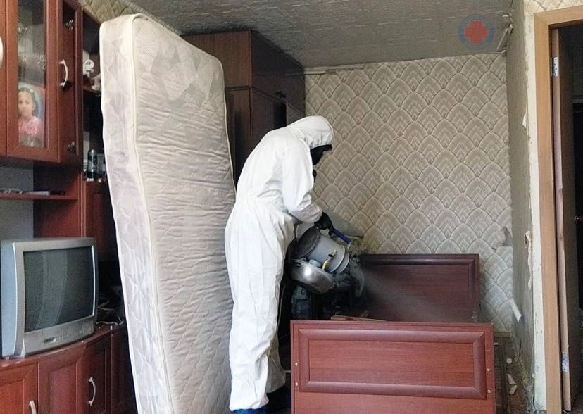 Дезинфекция/ Уничтожение клопов/тараканов/клещей/грызунов Дизенфекция ...