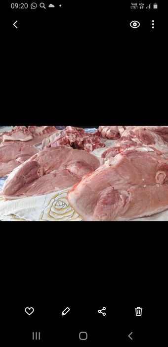 Продам  свинину  .