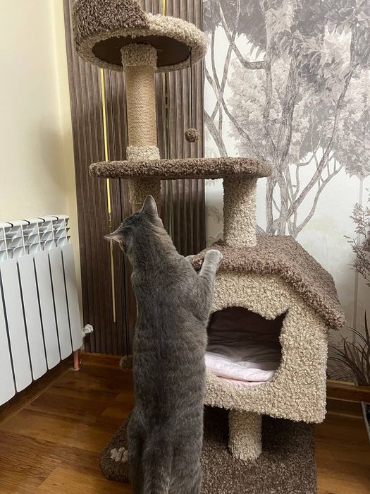 Домик для кошек. Игровой комплекс кошки. Зоодомики