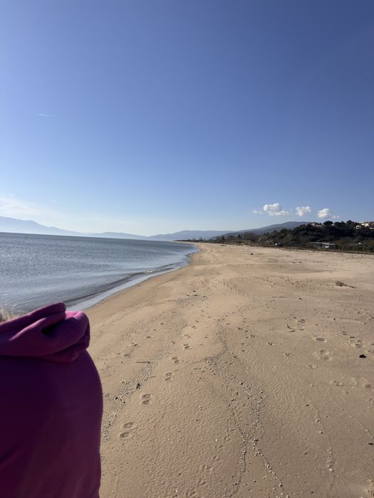 Дава се под наем Земеделски имот в София, Дружба 1 -  кв.м за 13964.31 € - Снимка #9