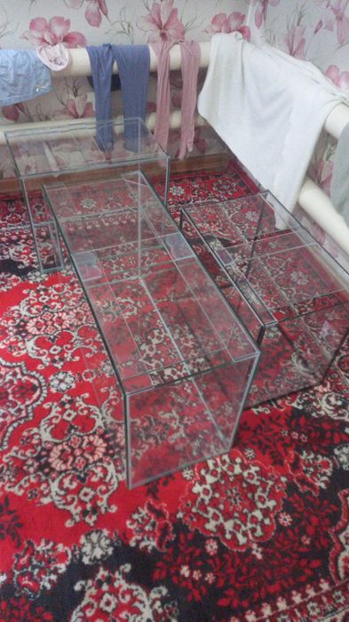 Рыбки аквариумные