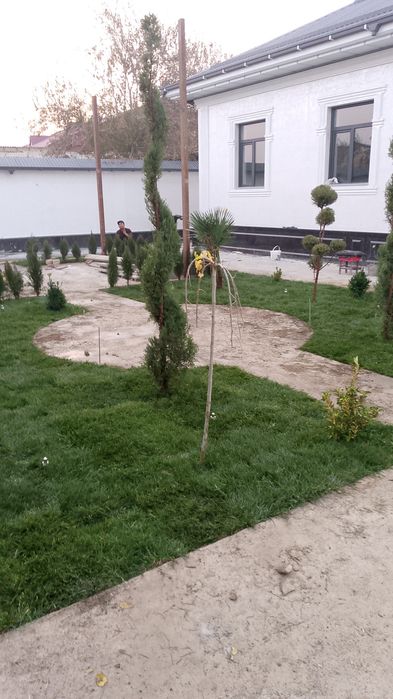 Lashafni dizayin boğbon xizmati