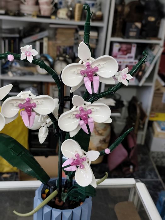 Лего 10311/10280/10281 Lego Botanicals