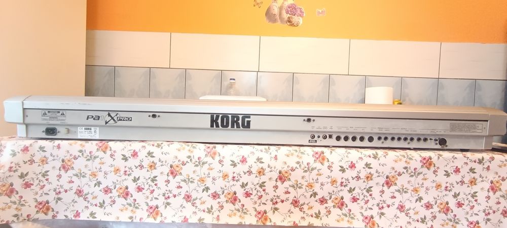 Korg pa1Xpro in privat