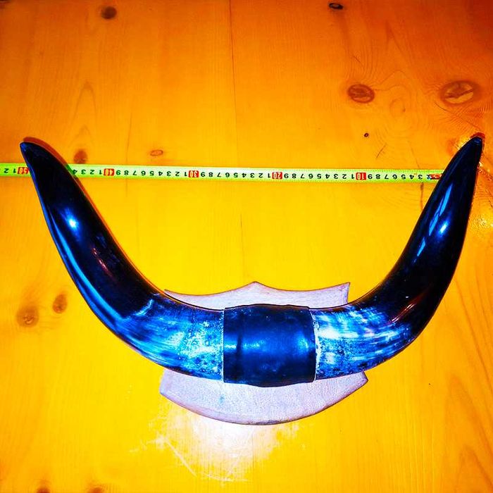 Декорация от рога на воден бивол