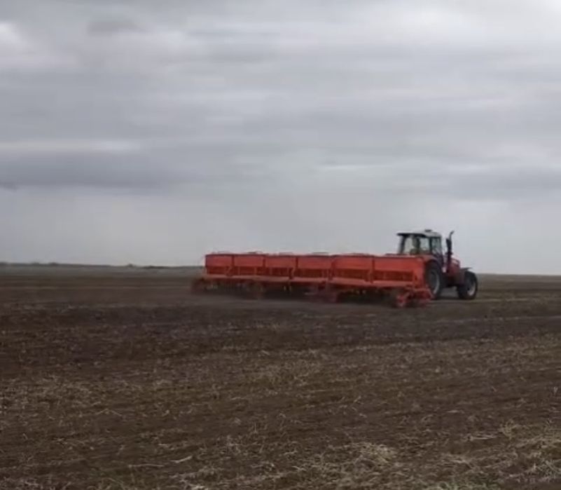 Сеялка сзт продам