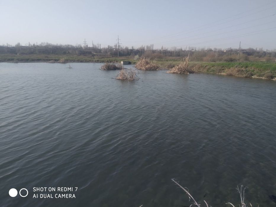 Тайёр 4 гектар уч нафар кули билан дарё куйнида сотилади