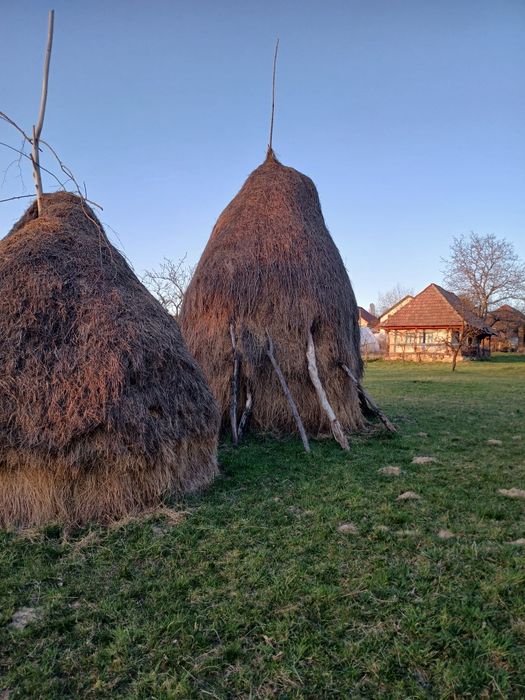 Vând  baloti de fân