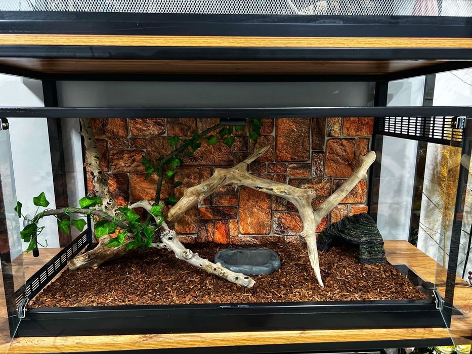 Террариумы на заказ