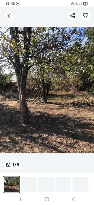 Жылжымаитын мулк